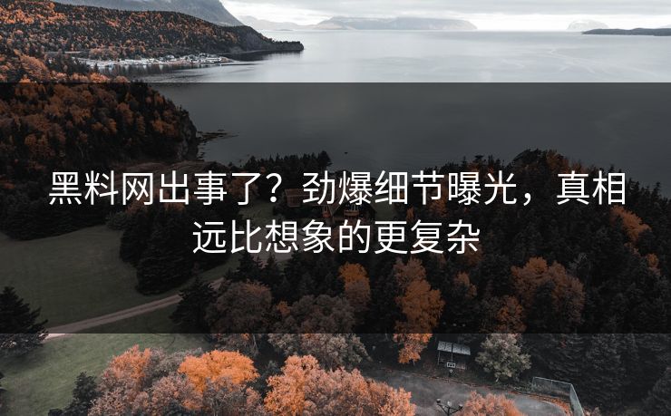 黑料网出事了？劲爆细节曝光，真相远比想象的更复杂