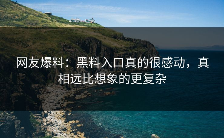 网友爆料：黑料入口真的很感动，真相远比想象的更复杂