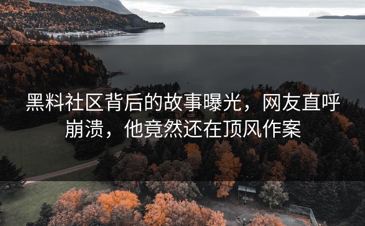 黑料社区背后的故事曝光，网友直呼崩溃，他竟然还在顶风作案