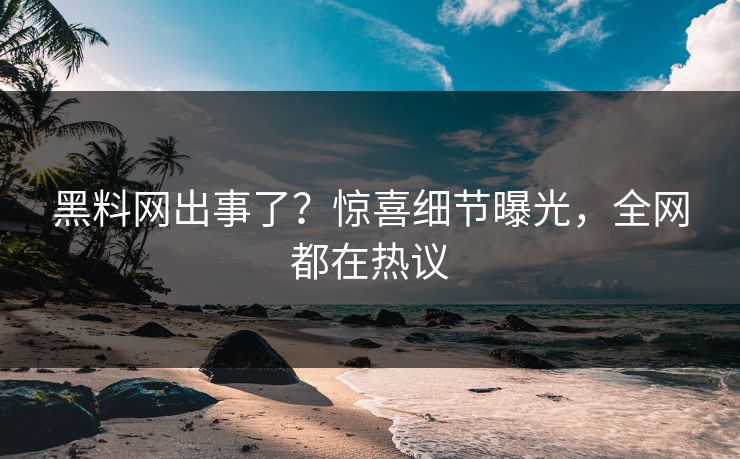 黑料网出事了？惊喜细节曝光，全网都在热议