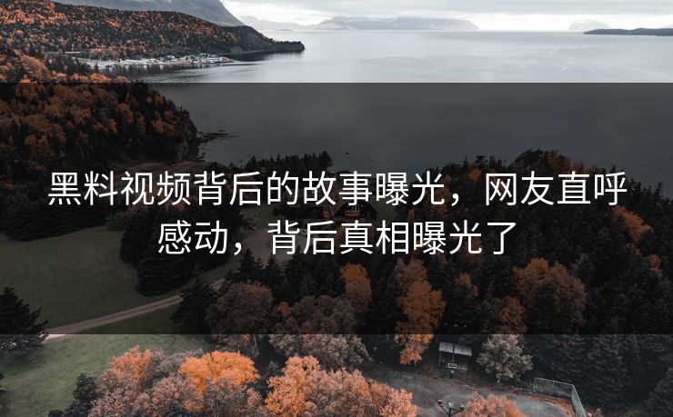 黑料视频背后的故事曝光，网友直呼感动，背后真相曝光了