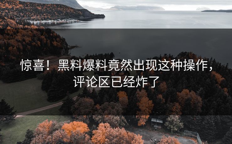 惊喜！黑料爆料竟然出现这种操作，评论区已经炸了