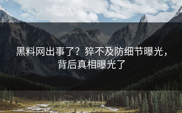 黑料网出事了？猝不及防细节曝光，背后真相曝光了