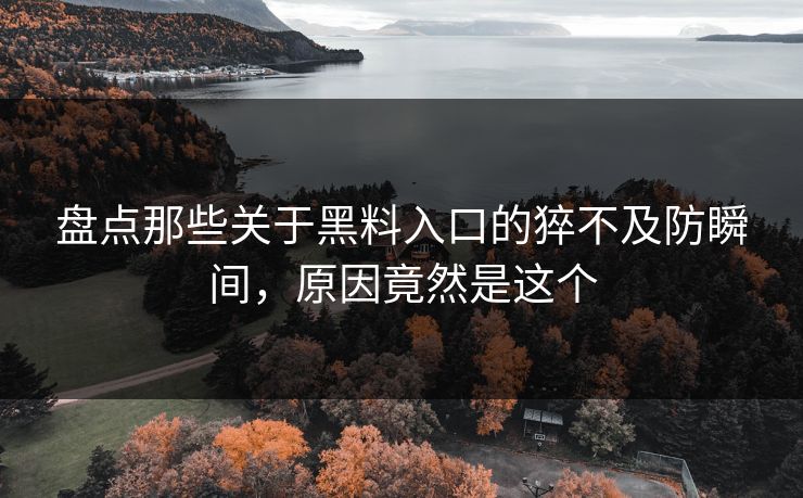 盘点那些关于黑料入口的猝不及防瞬间，原因竟然是这个