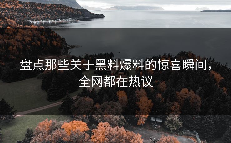 盘点那些关于黑料爆料的惊喜瞬间，全网都在热议