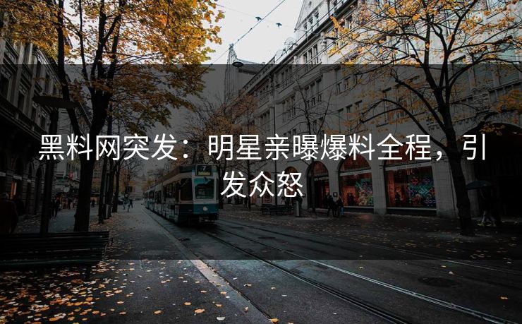 黑料网突发：明星亲曝爆料全程，引发众怒