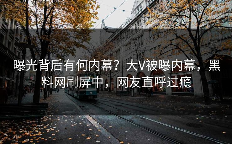 曝光背后有何内幕？大V被曝内幕，黑料网刷屏中，网友直呼过瘾