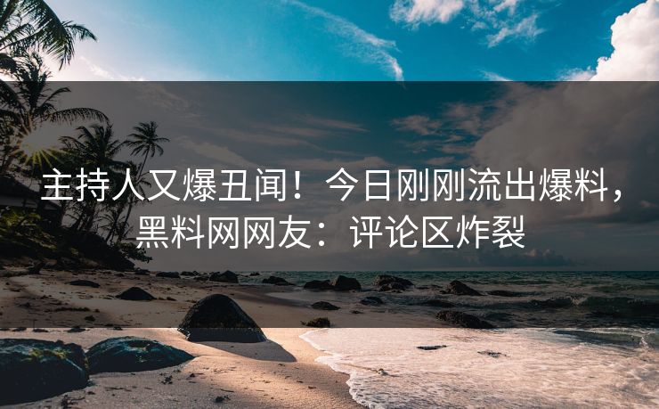 主持人又爆丑闻！今日刚刚流出爆料，黑料网网友：评论区炸裂