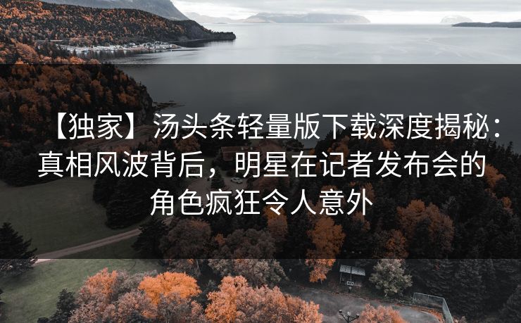 【独家】汤头条轻量版下载深度揭秘：真相风波背后，明星在记者发布会的角色疯狂令人意外