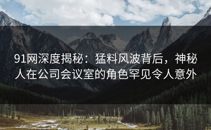 91网深度揭秘：猛料风波背后，神秘人在公司会议室的角色罕见令人意外