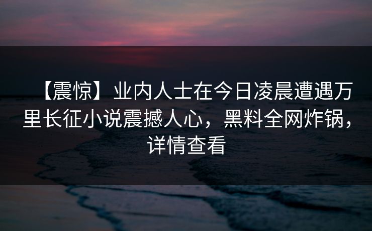【震惊】业内人士在今日凌晨遭遇万里长征小说震撼人心，黑料全网炸锅，详情查看