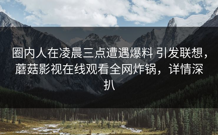 圈内人在凌晨三点遭遇爆料 引发联想，蘑菇影视在线观看全网炸锅，详情深扒