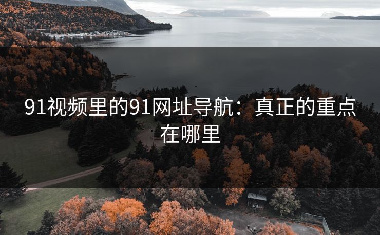91视频里的91网址导航：真正的重点在哪里