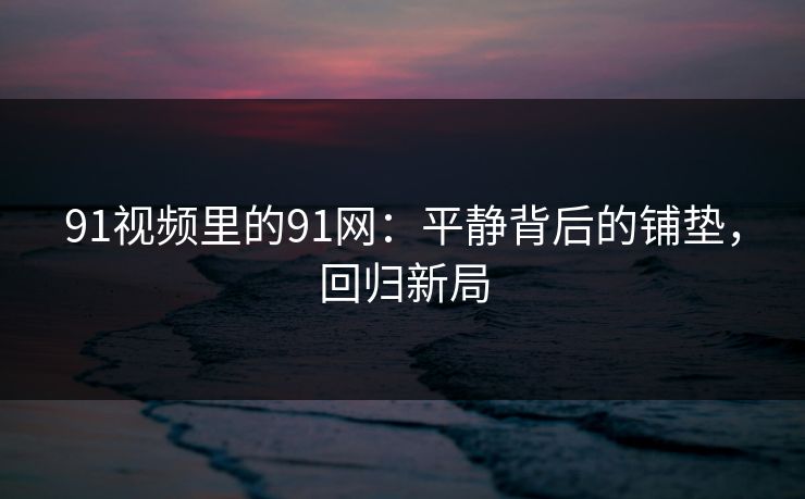 91视频里的91网：平静背后的铺垫，回归新局